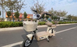 立马电动车质量怎么样_立马电动车耐用吗