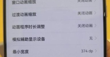 手机进入开发者模式会怎么样_开发者选项有什么风险