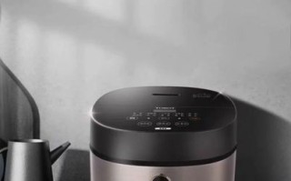 大松电饭煲质量怎么样_大松电饭煲好用吗