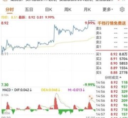 000617股票行情_中油资本股价走势分析