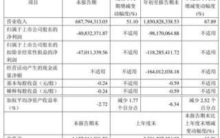 深圳新星股票怎么样_值得长期持有吗