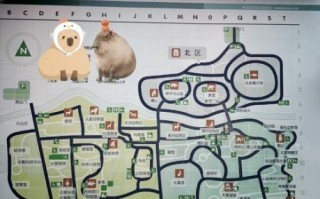 北京动物园属于哪个区_北京动物园在哪个区