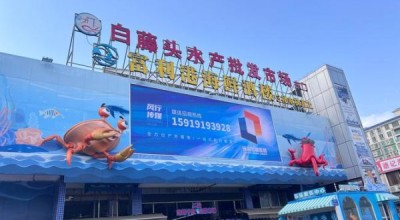 龙头市场在哪里_龙头市场怎么进货