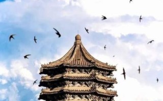 北京大学博雅塔历史由来_北京大学博雅塔可以登顶吗