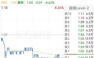 海航集团股票还能买吗_海航集团股票退市风险有多大