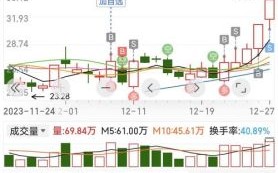 真视通股票怎么样_真视通未来走势预测