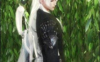 剑纯怎么样_剑纯PVE输出手法