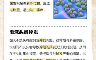 一个月不洗头会怎么样_头皮会臭吗