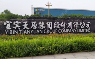 天原集团股票怎么样_天原集团股票值得长期持有吗