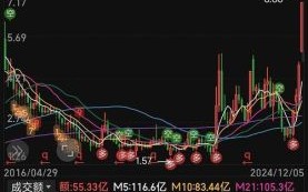 卧龙股票怎么样_卧龙股票值得长期持有吗