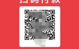 付呗怎么样_付呗收款码安全吗