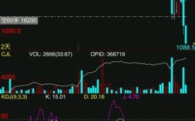 华卓精科股票值得买吗_华卓精科股票未来走势