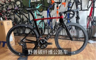 野兽公路车怎么样_值得买吗