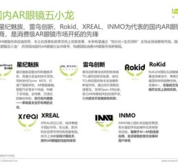 vr眼镜哪个品牌好_2024年vr眼镜市场分析