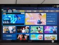 网络电视怎么样_网络电视哪个牌子好