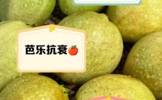 乐果怎么样_乐果毒性大吗