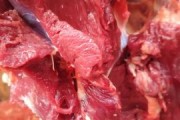 驴肉多少钱一斤_驴肉哪里买最正宗