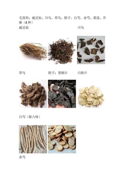 中药饮片价格为什么差距大_如何辨别真假中药材-第1张图片-俊逸知识馆 中药饮片价格为什么差距大_如何辨别真假中药材-第1张图片-俊逸知识馆