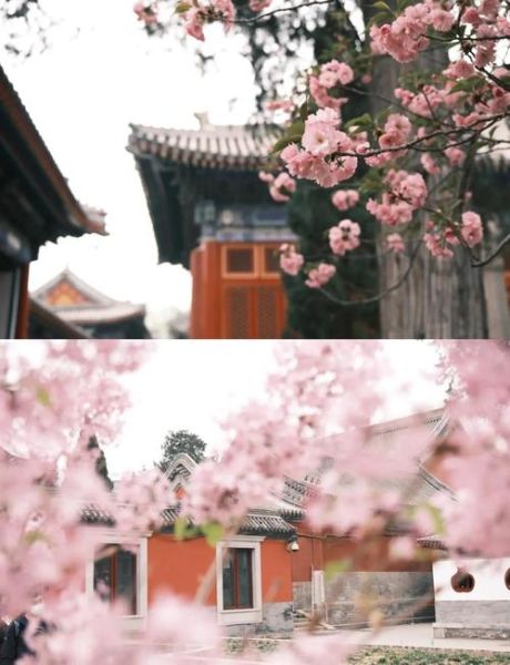 北京万寿寺门票价格_开放时间-第1张图片-俊逸知识馆