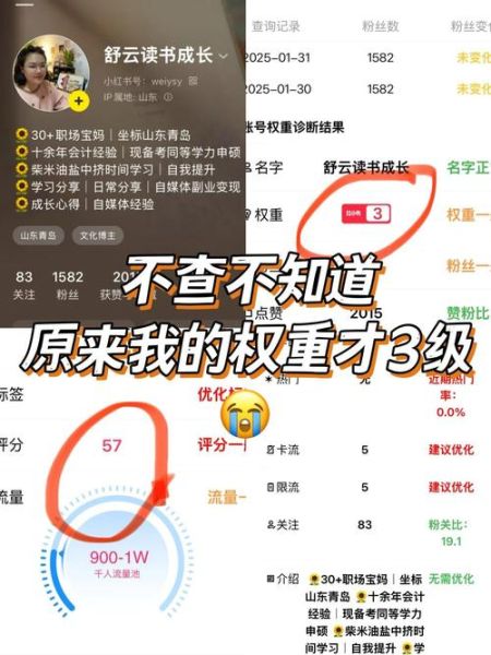 如何提升网站权重_网站权重下降怎么恢复-第1张图片-俊逸知识馆