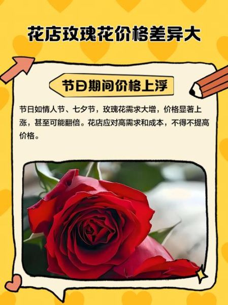玫瑰花价格多少钱一支_玫瑰花怎么保存时间长-第2张图片-俊逸知识馆