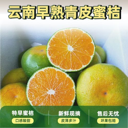 柑橘价格为什么波动大_如何挑选新鲜柑橘-第1张图片-俊逸知识馆