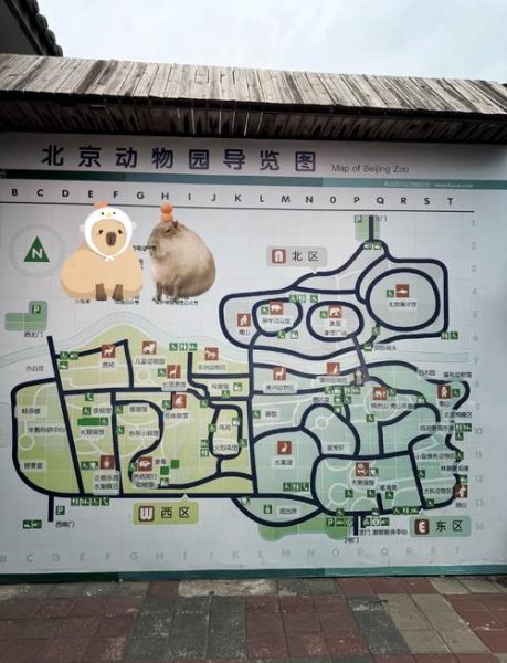 北京动物园属于哪个区_北京动物园在哪个区-第1张图片-俊逸知识馆