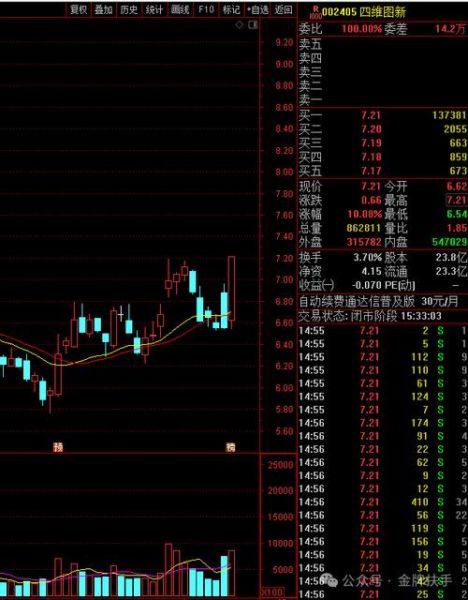 002405股票怎么样_四维图新未来前景如何-第1张图片-俊逸知识馆