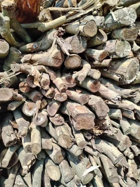 杂木市场价格走势_杂木市场在哪里-第3张图片-俊逸知识馆 杂木市场价格走势_杂木市场在哪里-第3张图片-俊逸知识馆