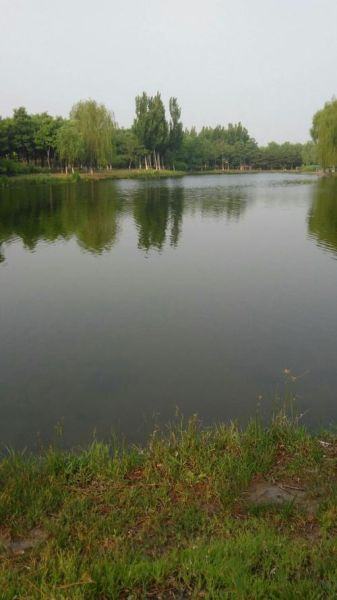 北京大兴区今天穿什么_大兴区未来一周天气怎么样-第2张图片-俊逸知识馆 北京大兴区今天穿什么_大兴区未来一周天气怎么样-第2张图片-俊逸知识馆