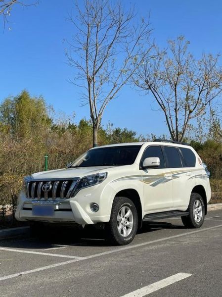 霸道怎么样_霸道值得买吗-第1张图片-俊逸知识馆 霸道怎么样_霸道值得买吗-第1张图片-俊逸知识馆