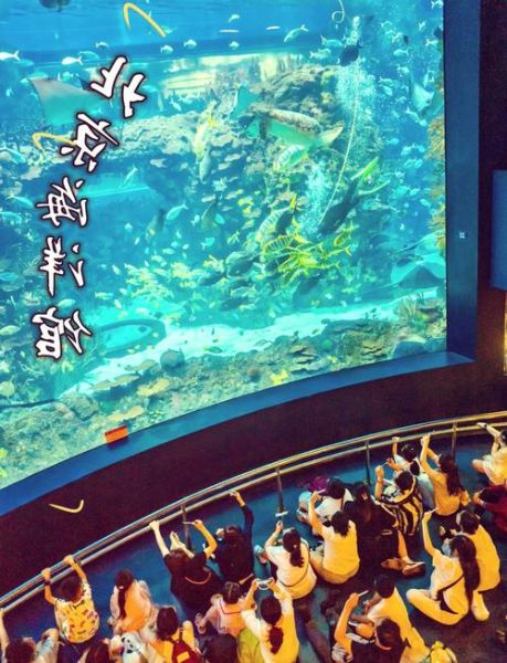北京海洋馆需要预约吗_门票预约流程-第1张图片-俊逸知识馆