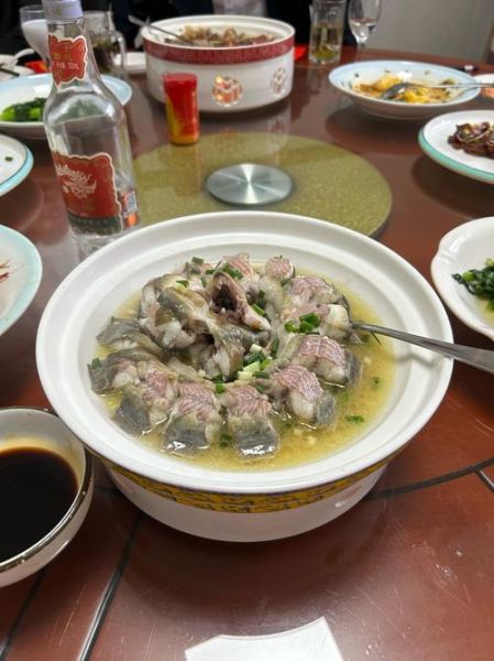 鳗鱼多少钱一斤_鳗鱼怎么做好吃-第3张图片-俊逸知识馆 鳗鱼多少钱一斤_鳗鱼怎么做好吃-第3张图片-俊逸知识馆