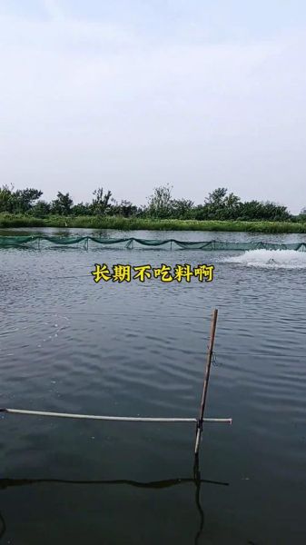 水产养殖什么最赚钱_新手如何入门-第2张图片-俊逸知识馆 水产养殖什么最赚钱_新手如何入门-第2张图片-俊逸知识馆