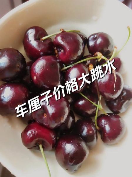 樱桃多少钱一斤_如何挑选新鲜樱桃-第1张图片-俊逸知识馆 樱桃多少钱一斤_如何挑选新鲜樱桃-第1张图片-俊逸知识馆