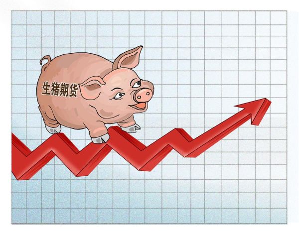 猪肉价格为什么上涨_未来走势如何-第2张图片-俊逸知识馆 猪肉价格为什么上涨_未来走势如何-第2张图片-俊逸知识馆