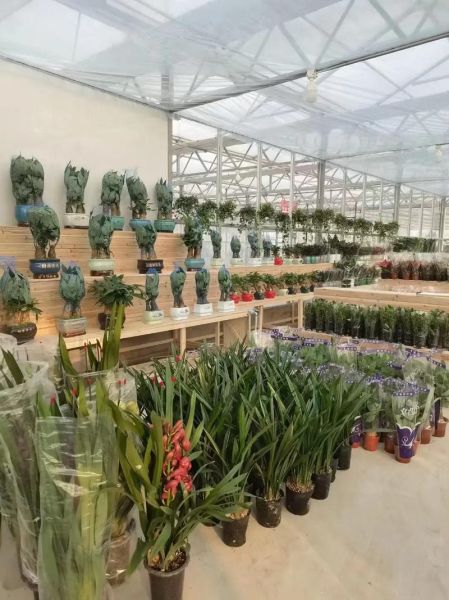 开花店需要多少钱_花艺培训哪家好-第3张图片-俊逸知识馆 开花店需要多少钱_花艺培训哪家好-第3张图片-俊逸知识馆