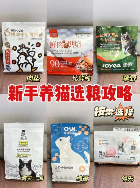 猫粮哪个牌子好_幼猫吃什么猫粮-第3张图片-俊逸知识馆