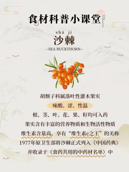 沙棘多少钱一斤_沙棘的功效与作用有哪些-第1张图片-俊逸知识馆