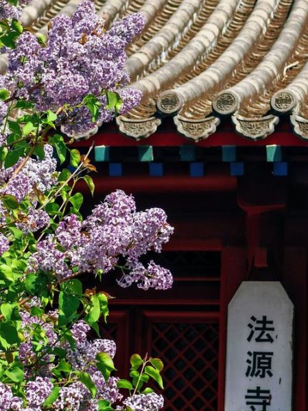 丁香园怎么样_丁香园可靠吗-第3张图片-俊逸知识馆 丁香园怎么样_丁香园可靠吗-第3张图片-俊逸知识馆