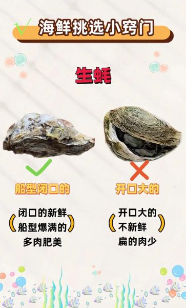 生蚝怎么挑选新鲜_生蚝批发价格多少钱一斤-第2张图片-俊逸知识馆 生蚝怎么挑选新鲜_生蚝批发价格多少钱一斤-第2张图片-俊逸知识馆