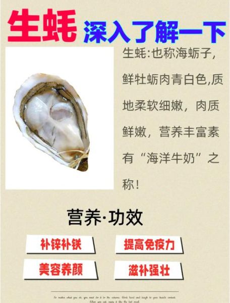生蚝怎么挑选新鲜_生蚝批发价格多少钱一斤-第1张图片-俊逸知识馆 生蚝怎么挑选新鲜_生蚝批发价格多少钱一斤-第1张图片-俊逸知识馆
