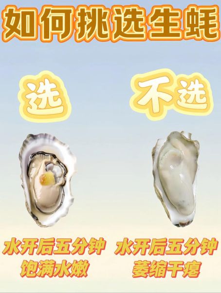 生蚝怎么挑选新鲜_生蚝批发价格多少钱一斤-第3张图片-俊逸知识馆 生蚝怎么挑选新鲜_生蚝批发价格多少钱一斤-第3张图片-俊逸知识馆
