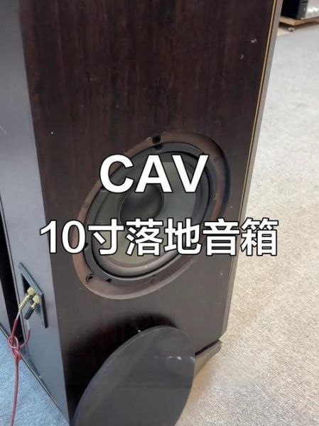 cav音响怎么样_值得买吗-第2张图片-俊逸知识馆 cav音响怎么样_值得买吗-第2张图片-俊逸知识馆