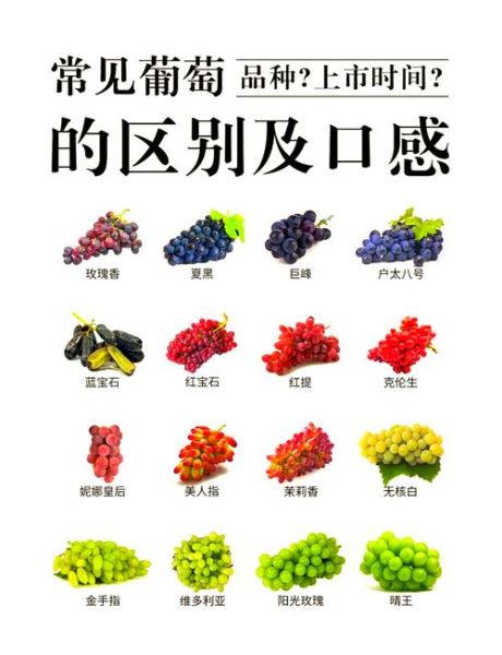 葡萄价格多少钱一斤_葡萄怎么挑选才甜-第3张图片-俊逸知识馆 葡萄价格多少钱一斤_葡萄怎么挑选才甜-第3张图片-俊逸知识馆