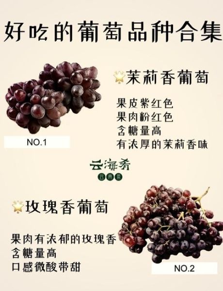 葡萄价格多少钱一斤_葡萄怎么挑选才甜-第2张图片-俊逸知识馆 葡萄价格多少钱一斤_葡萄怎么挑选才甜-第2张图片-俊逸知识馆