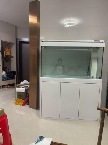 鱼缸什么牌子好_鱼缸多久换一次水-第1张图片-俊逸知识馆 鱼缸什么牌子好_鱼缸多久换一次水-第1张图片-俊逸知识馆