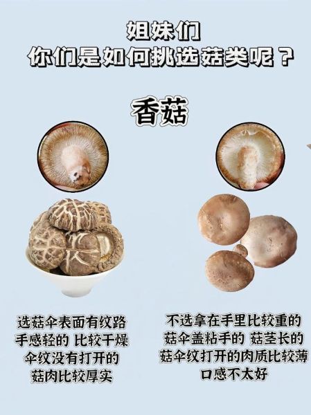 蘑菇价格为什么忽高忽低_如何挑选新鲜蘑菇-第1张图片-俊逸知识馆 蘑菇价格为什么忽高忽低_如何挑选新鲜蘑菇-第1张图片-俊逸知识馆