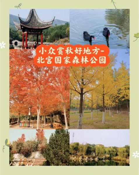 北京丰台区附近旅游景点有哪些_丰台区一日游路线推荐-第3张图片-俊逸知识馆 北京丰台区附近旅游景点有哪些_丰台区一日游路线推荐-第3张图片-俊逸知识馆