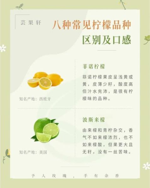 柠檬市场是什么_如何避免买到次品-第2张图片-俊逸知识馆 柠檬市场是什么_如何避免买到次品-第2张图片-俊逸知识馆